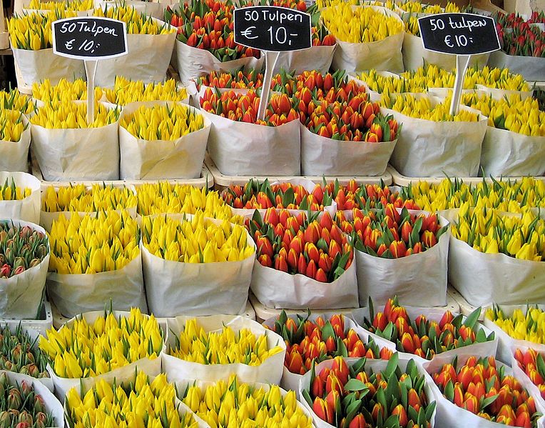 tulpen market amsterdam