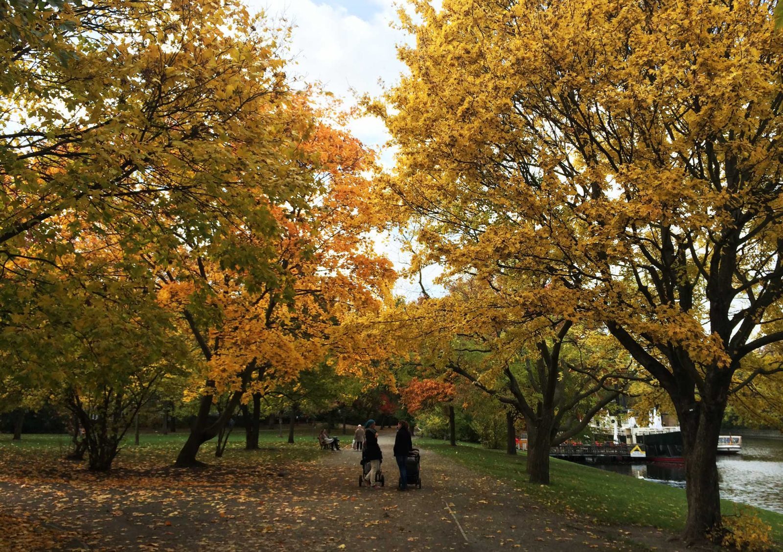 autumn berlin walks and paths
